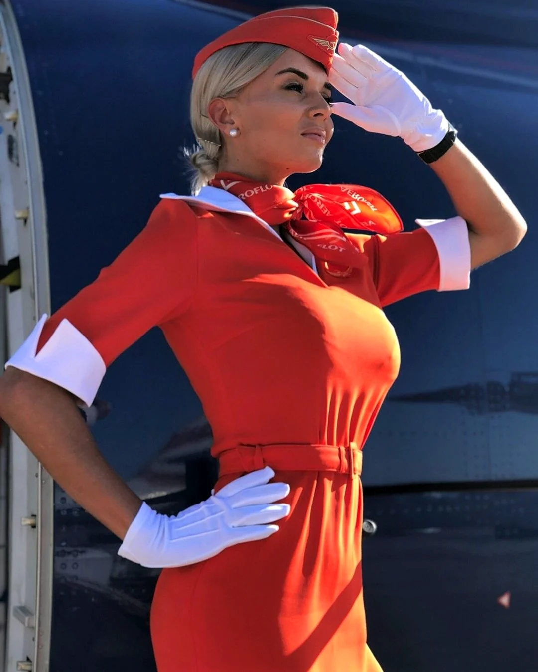 Алана Чейз стюардесса