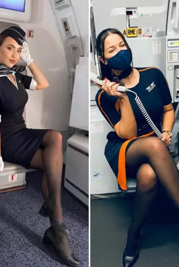 Алана Чейз стюардесса