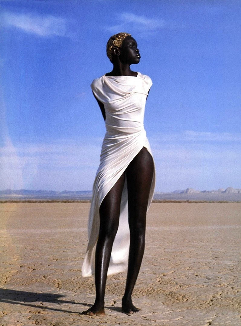 Alek Wek в полный рост