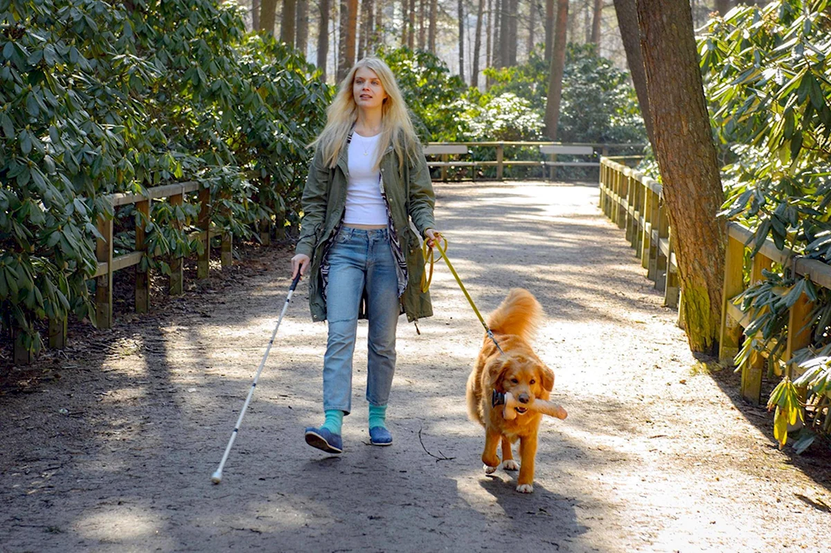 Алина Томников Екатерина самозванцы