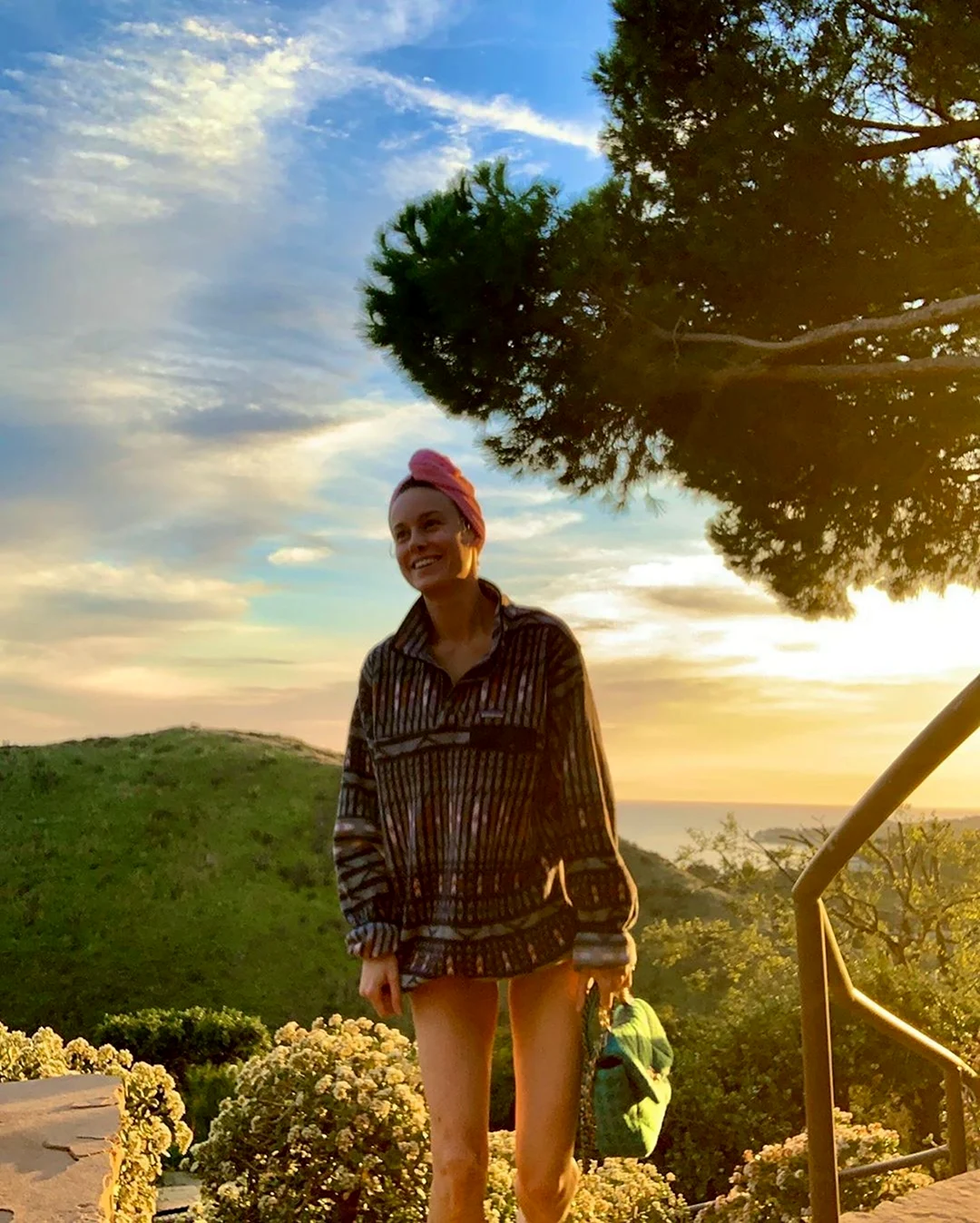 Brie Larson 2020
