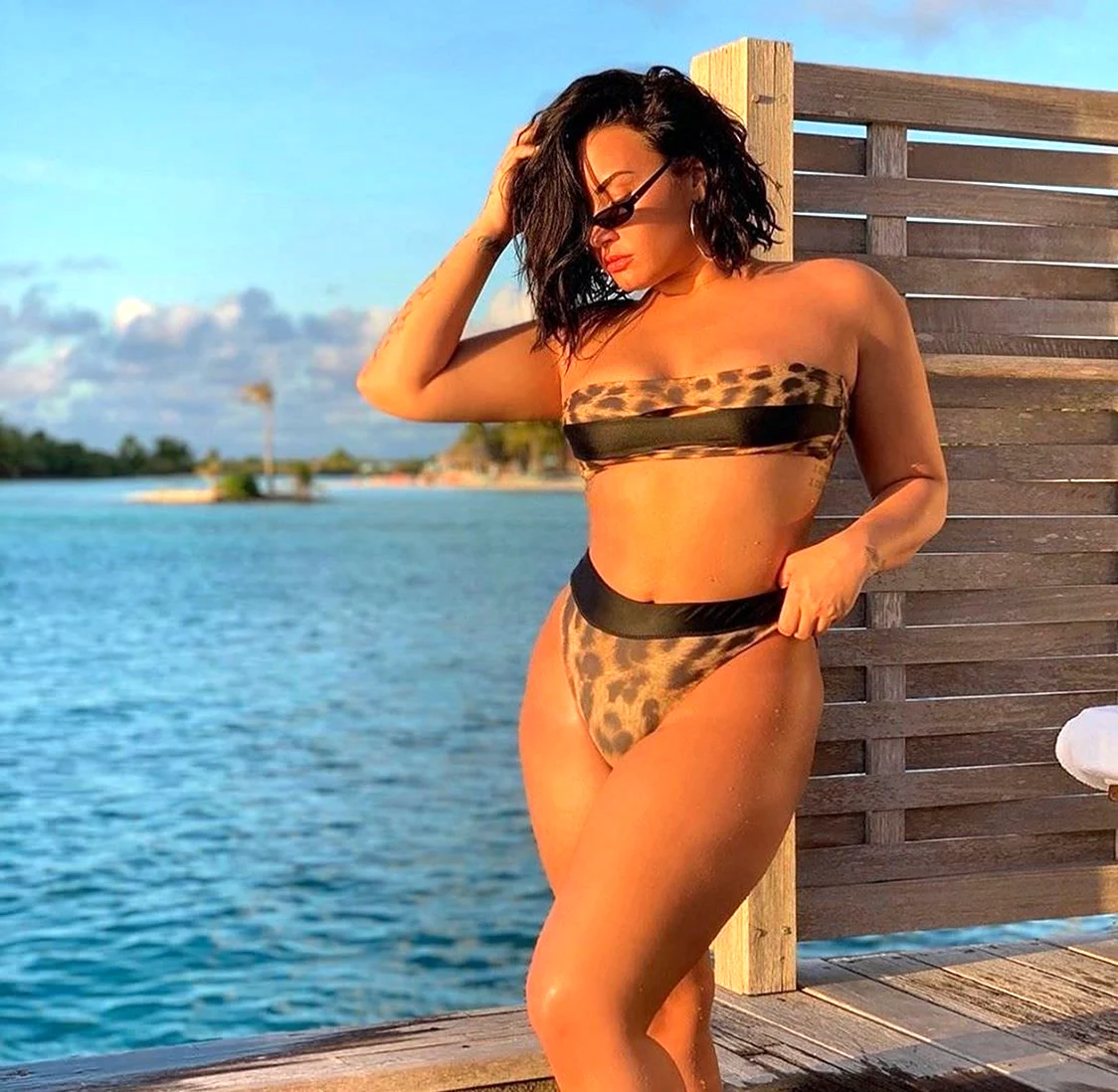 Demi Lovato в купальнике