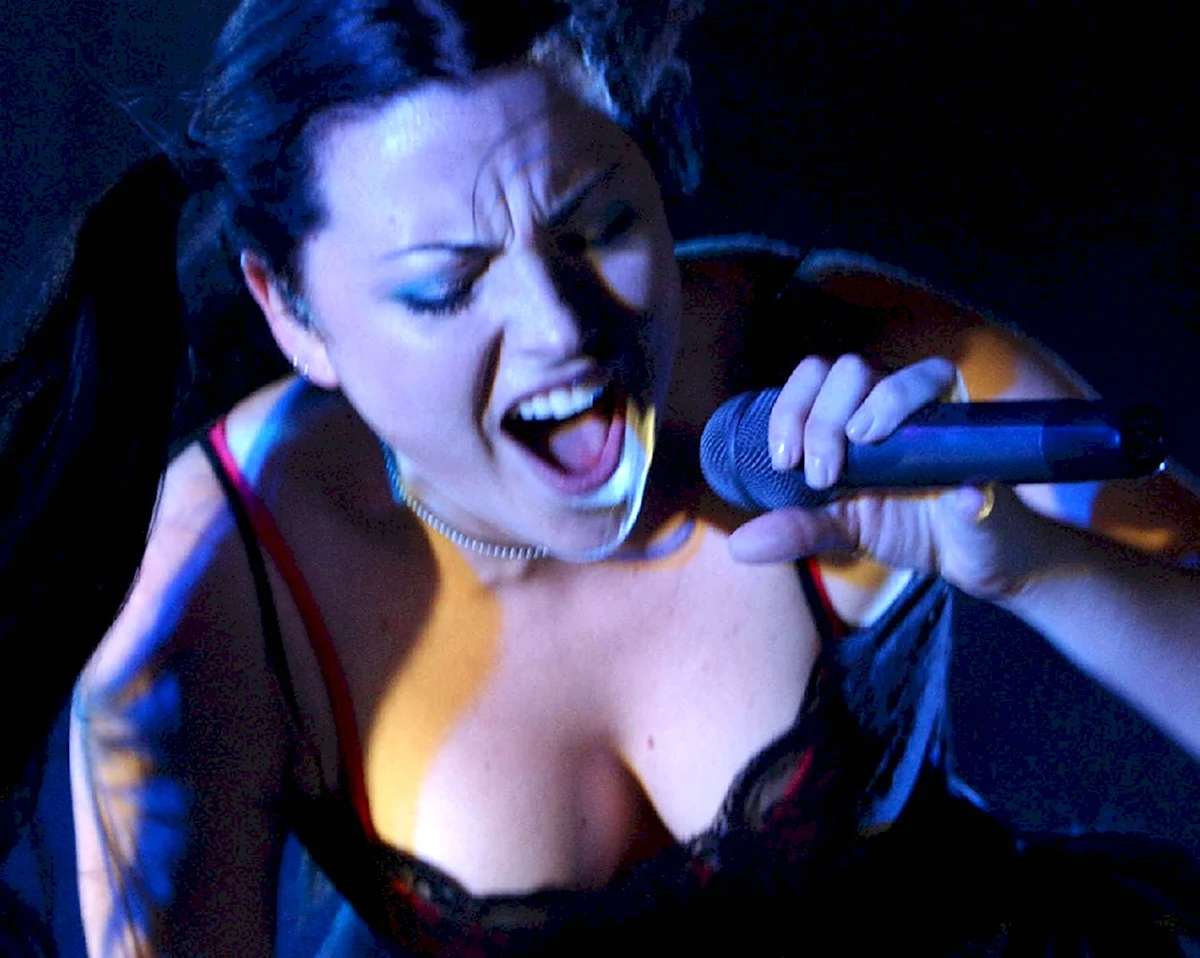 Эми ли Evanescence 2005