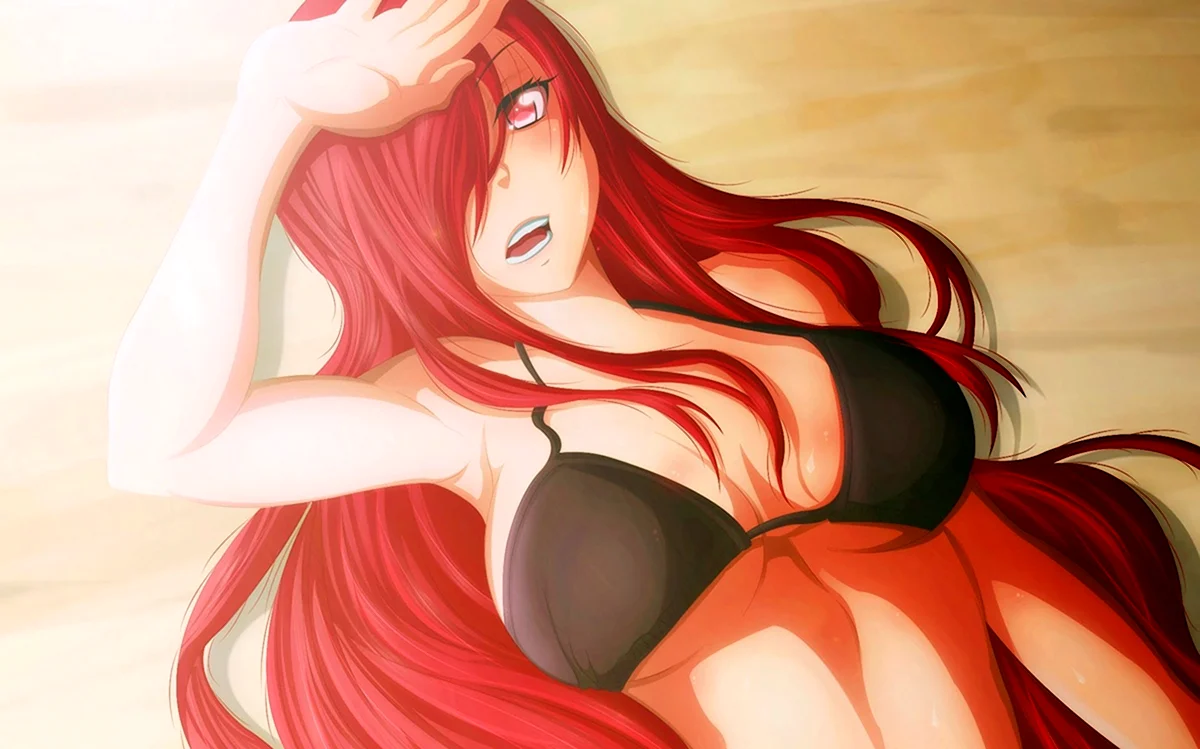 Erza Scarlet этти
