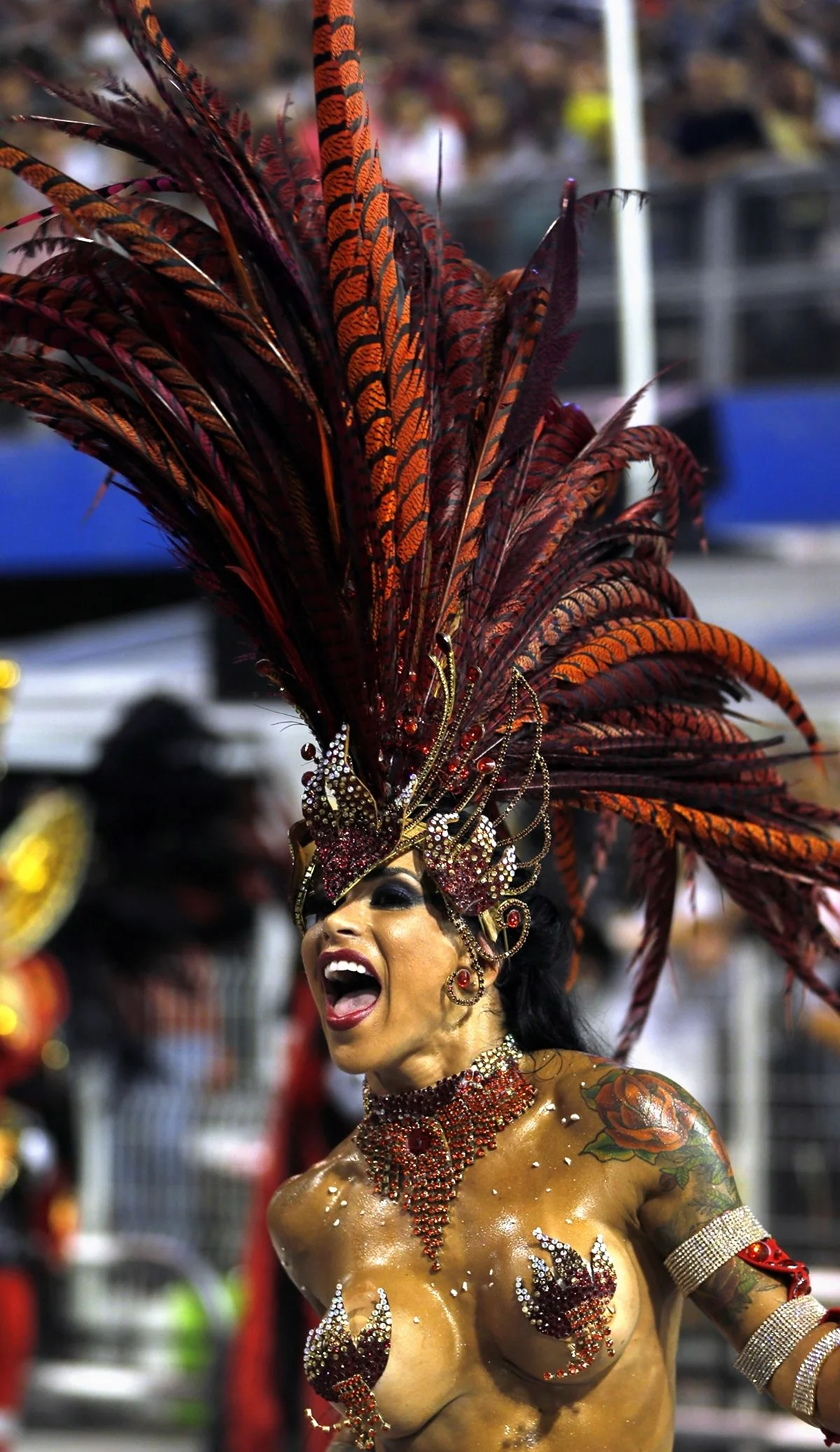 Карнавал Рио Rio Carnival