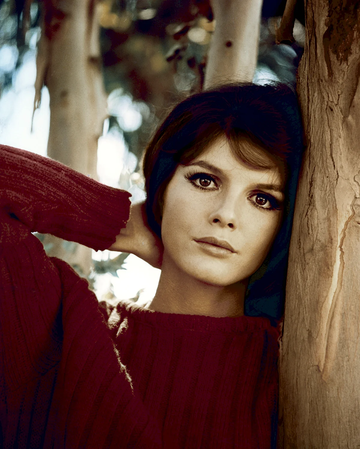 Katharine Ross