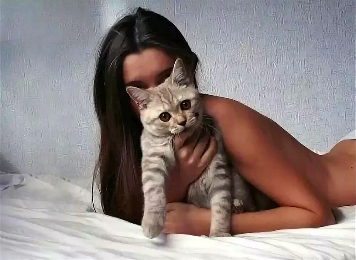 Кошки молодые девушки
