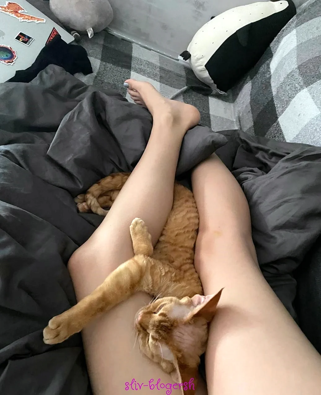 Кот лежит на девушке