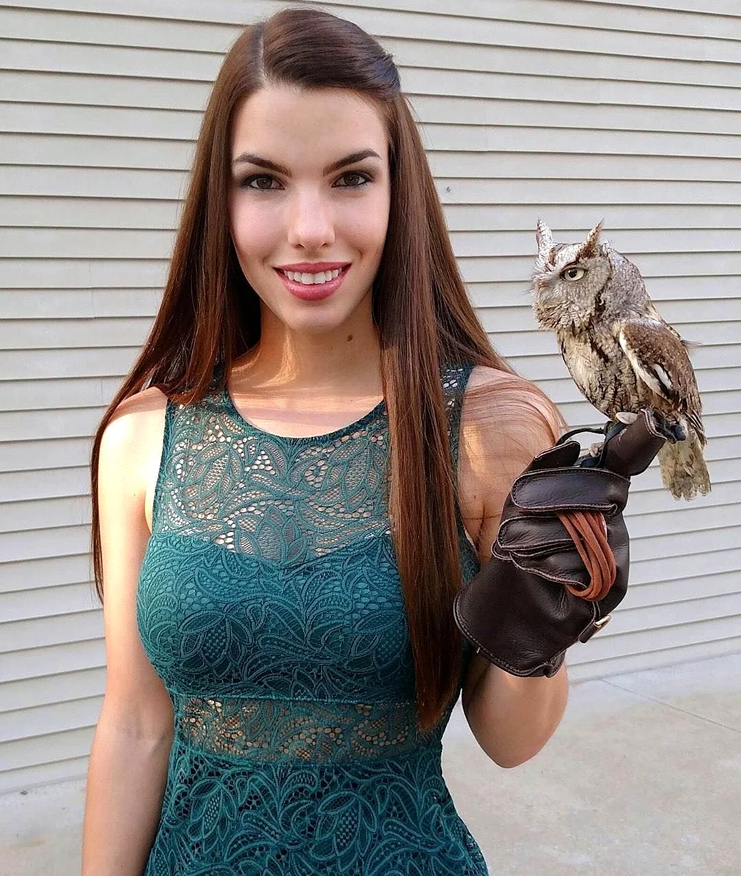 Kris Owl