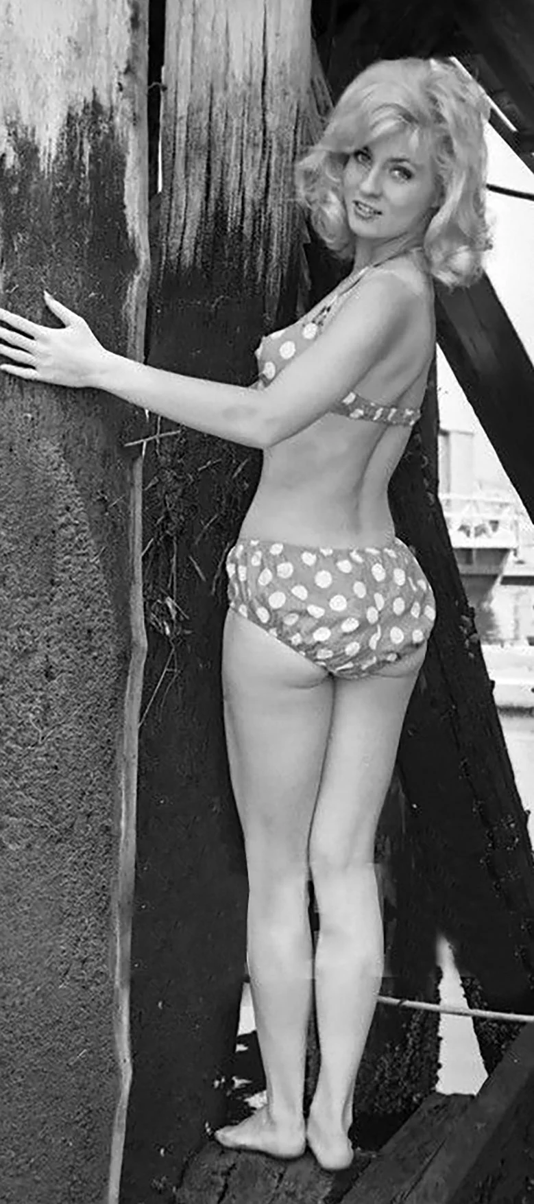 Lee Meredith