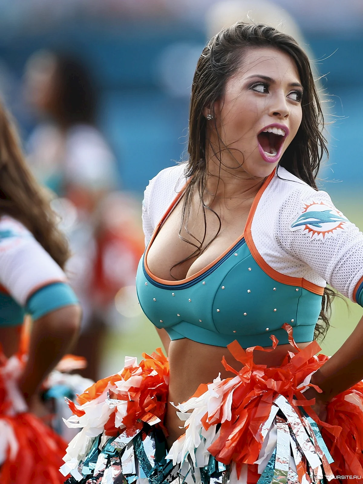 Miami Dolphins cheerleaders