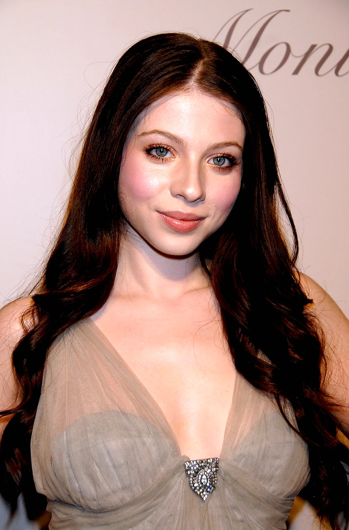 Мишель Trachtenberg