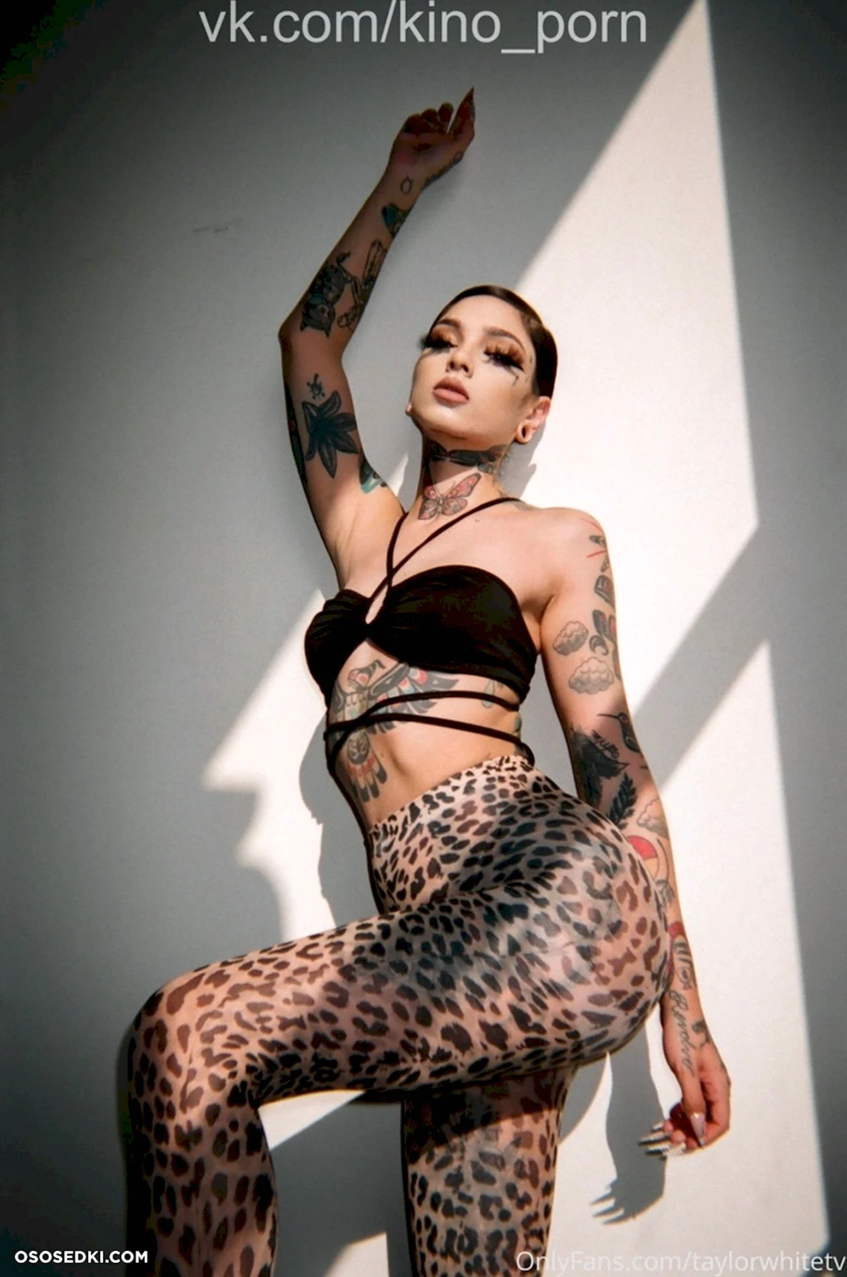 Taylor White 18
