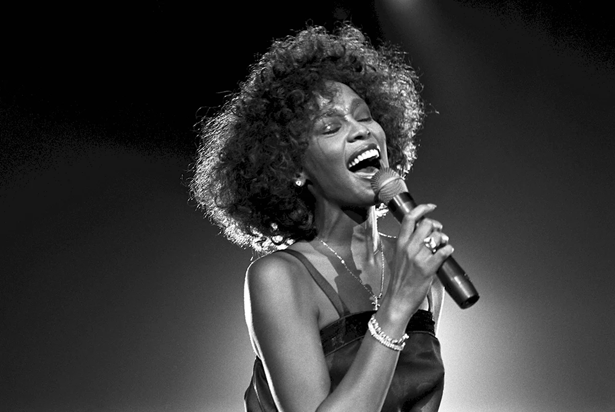 Whitney Houston the Voice 2001