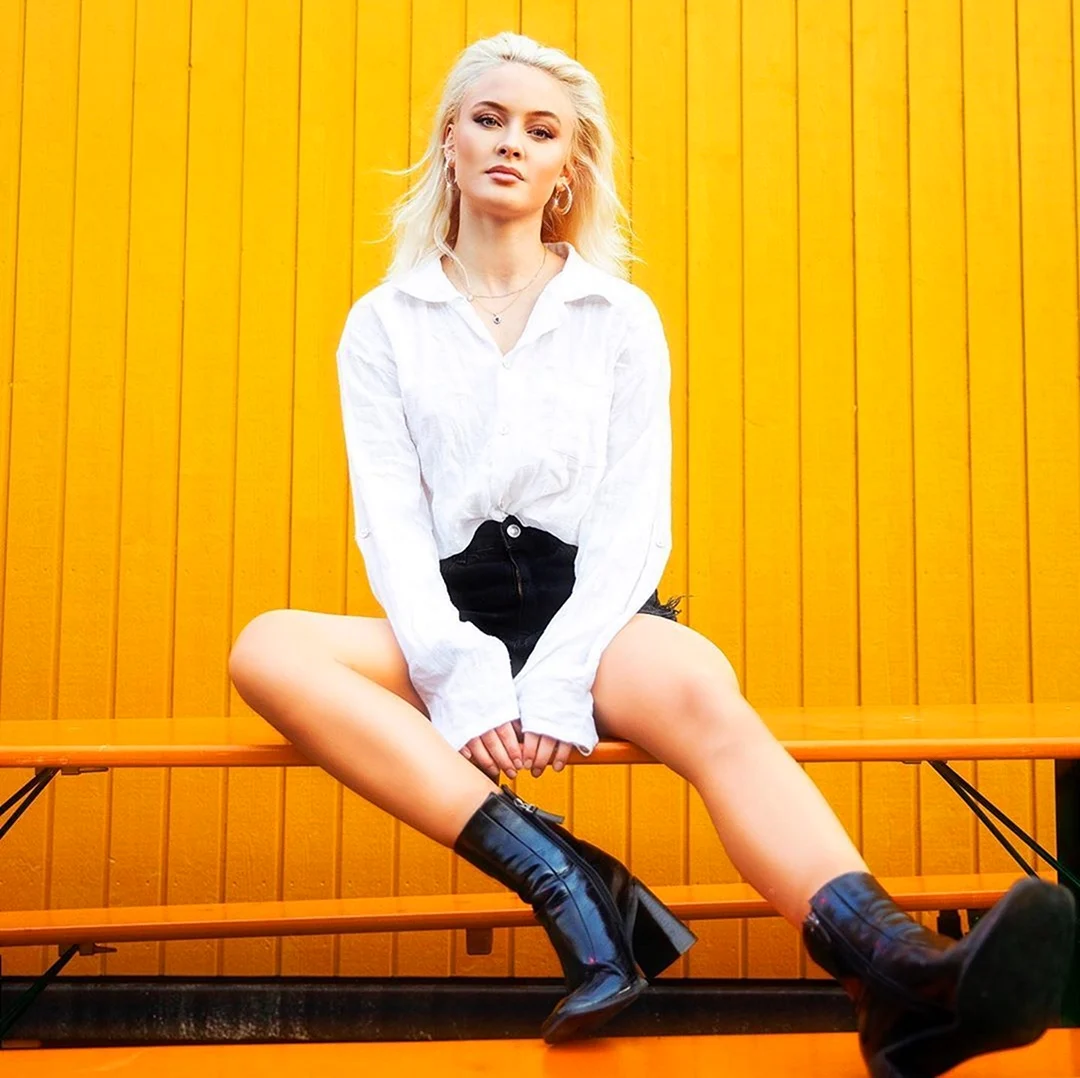 Zara Larsson 2021