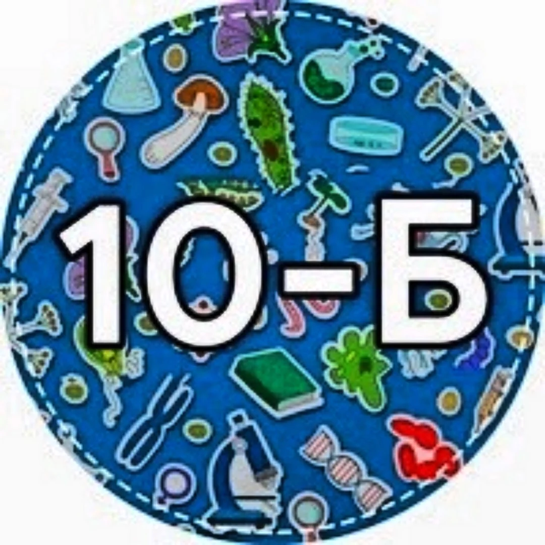 10 Б класс