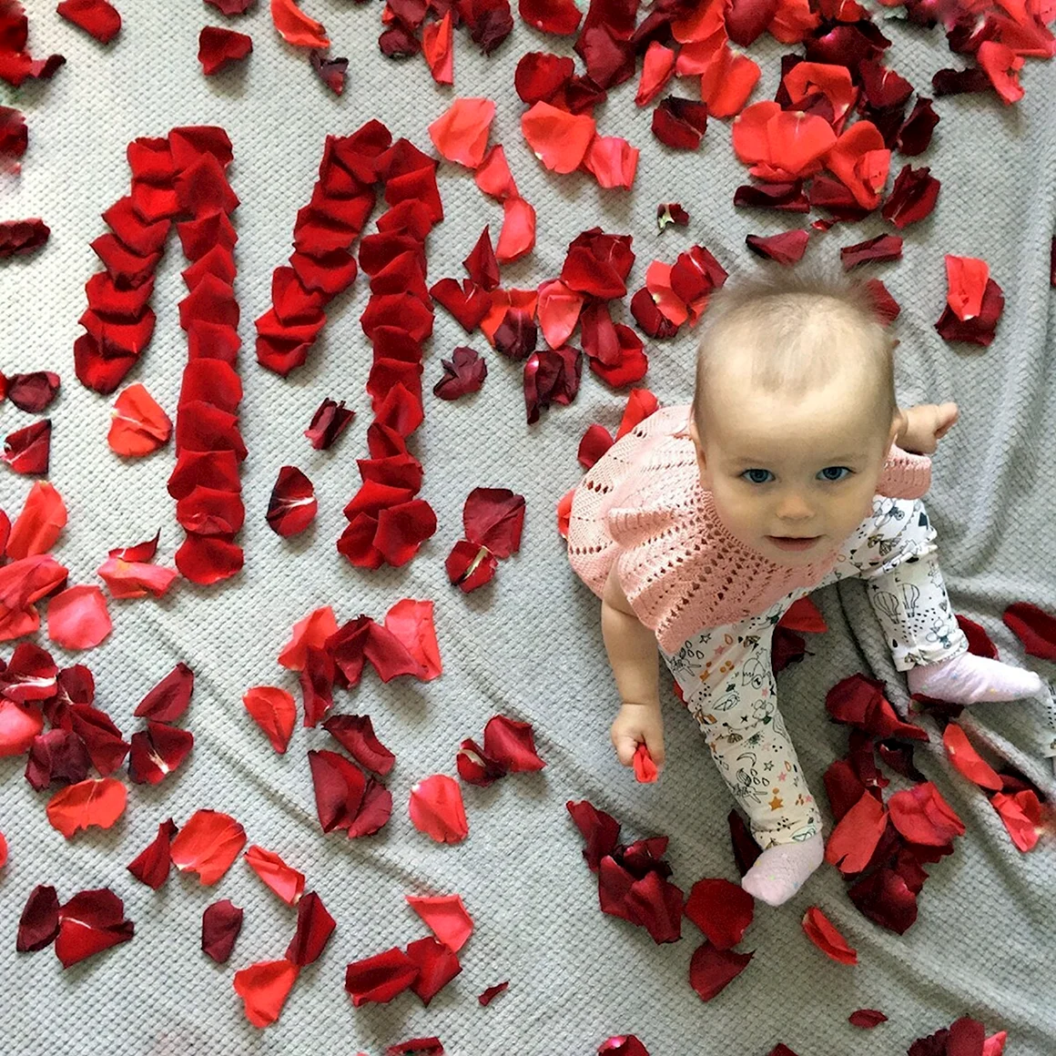 11 Месяцев фотосессия идеи
