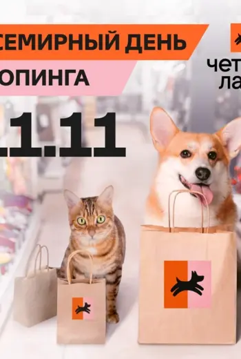11 Ноября день шопинга