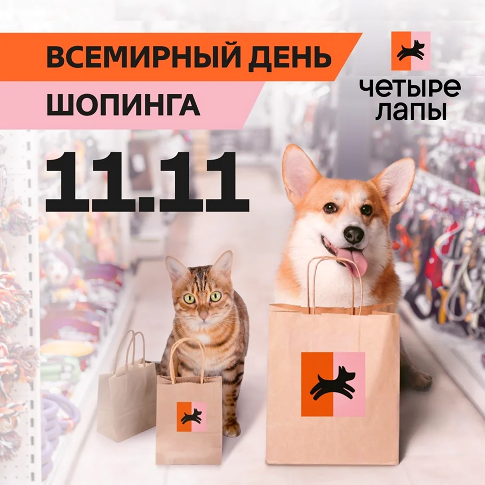 11 Ноября день шопинга