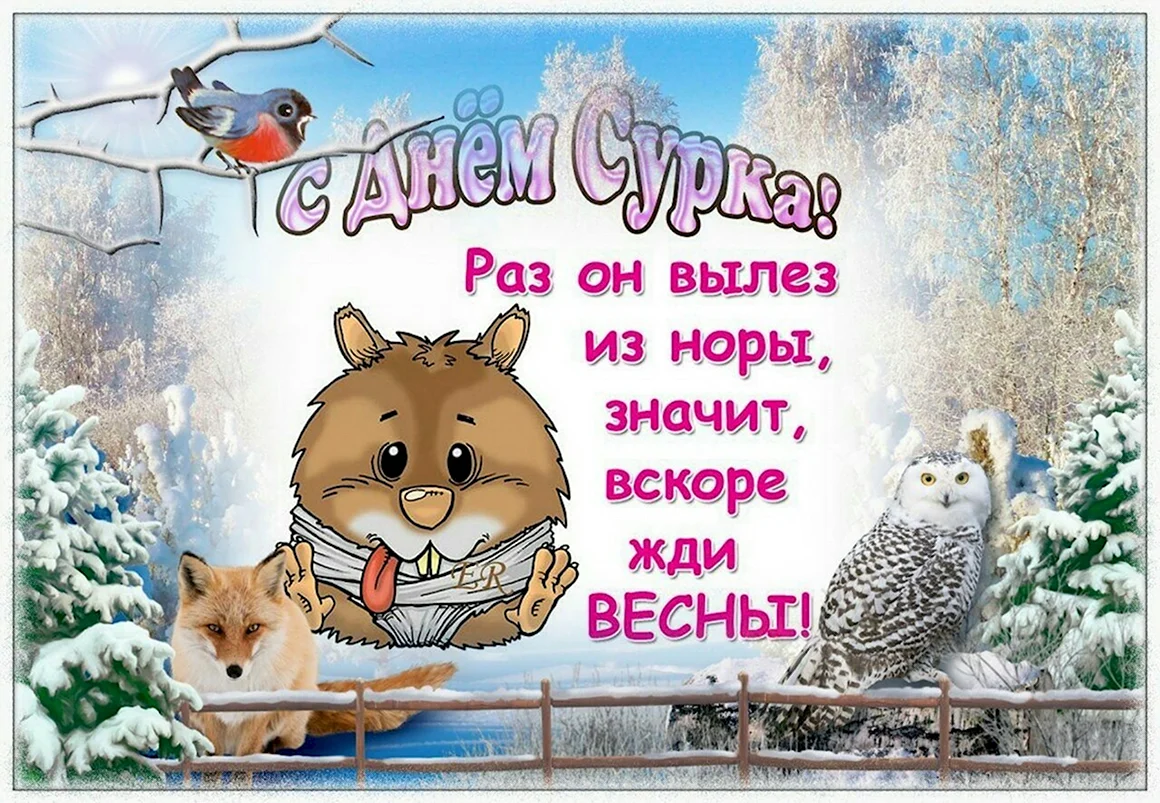 2 Февраля день сурка