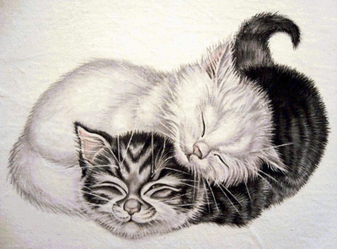2 Кота рисунок
