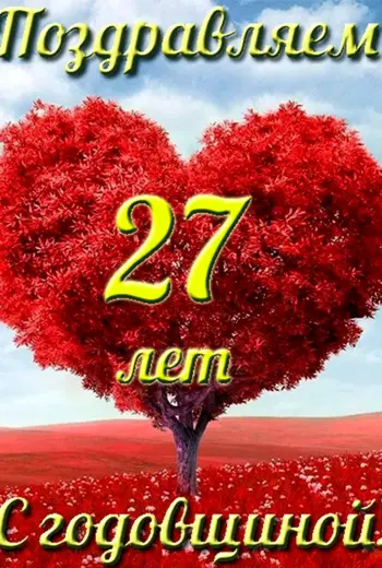 27 Годовщина свадьбы