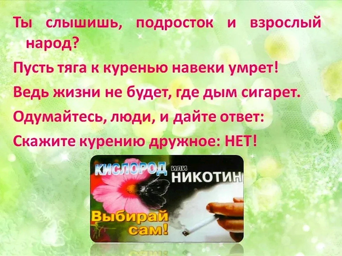 31 Мая Всемирный день без табака