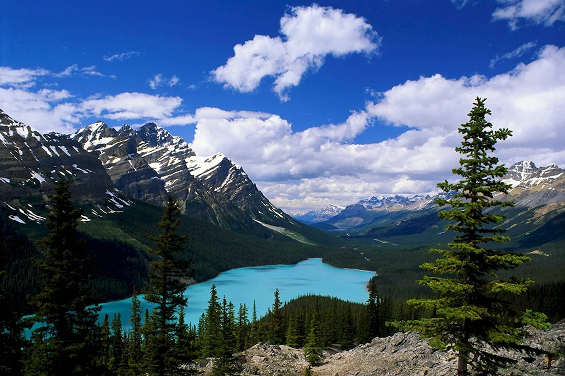 537x240 природа