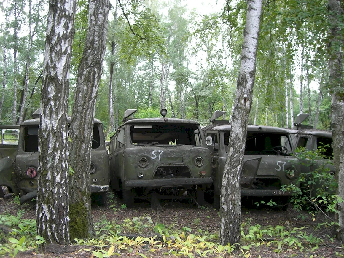 59 Арсенал Грау вч 42697