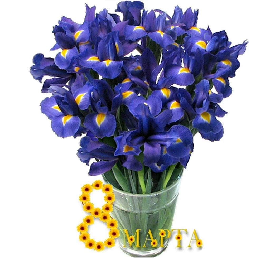 8 Марта букет ирисов