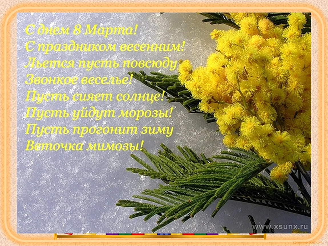 8 Марта Мимоза