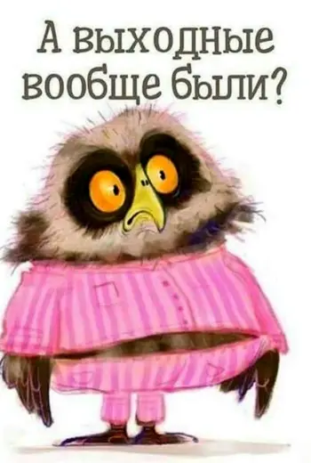 А выходные вообще были