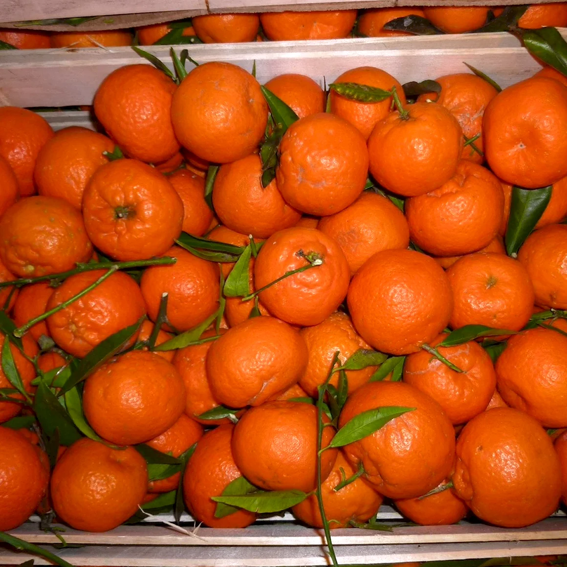 Аджария мандарины