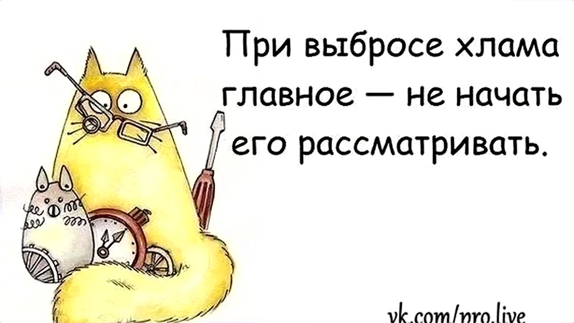 Афоризмы про уборку