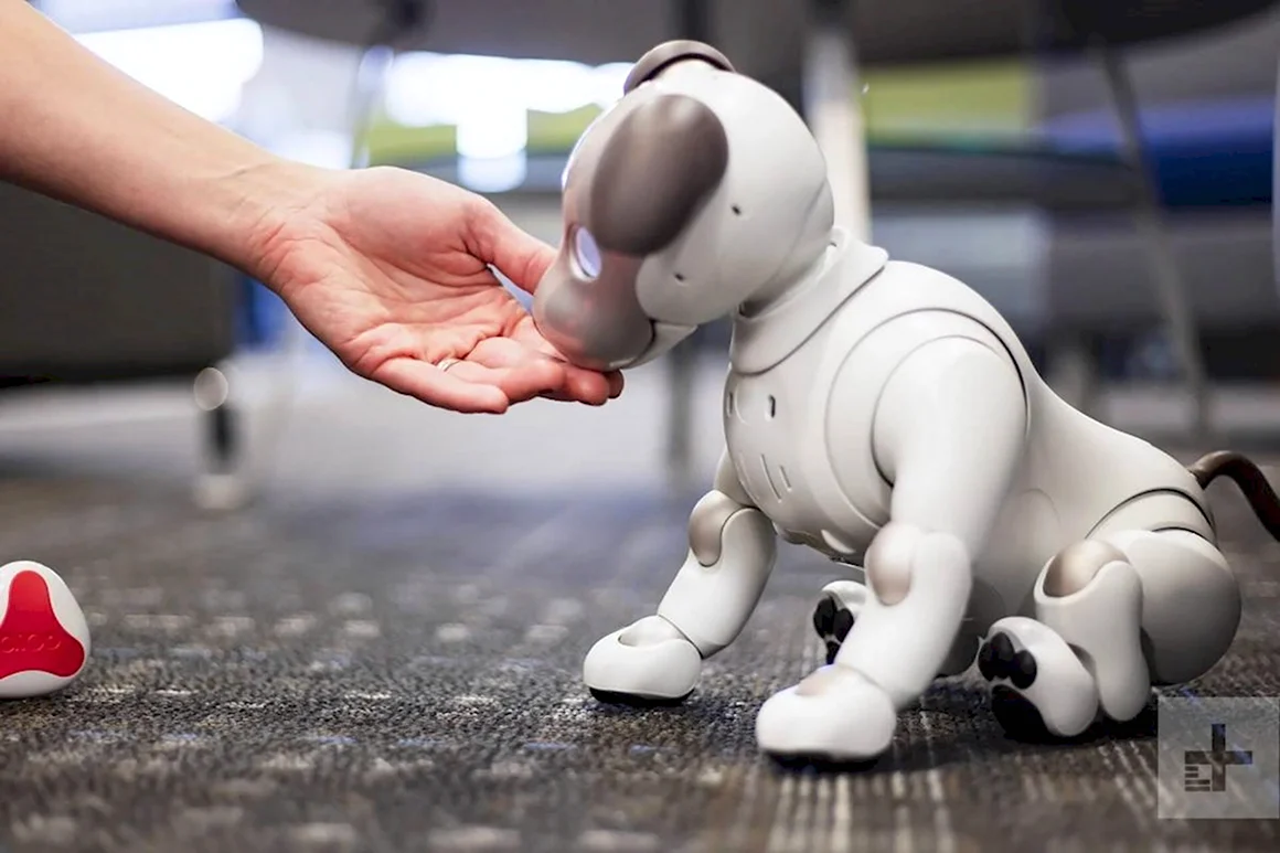 Aibo 1999