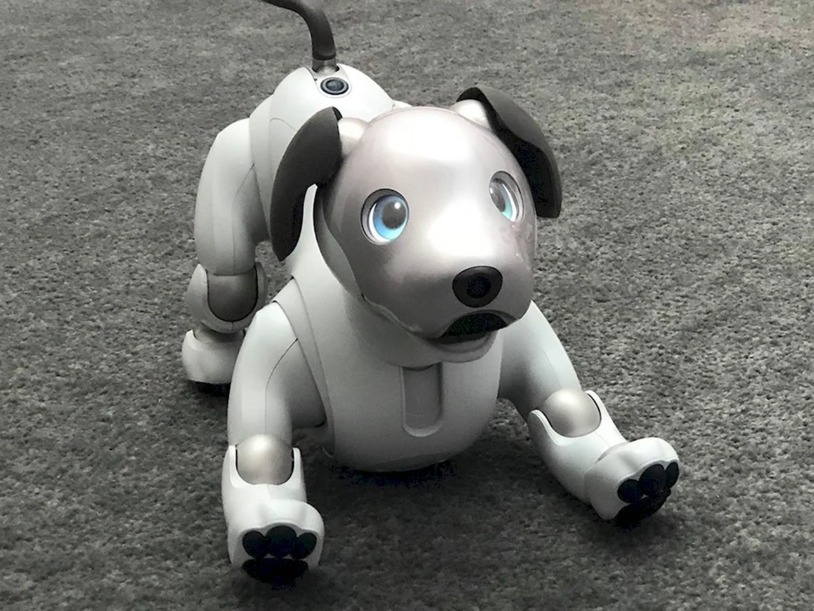 Aibo_Sony ers-1000