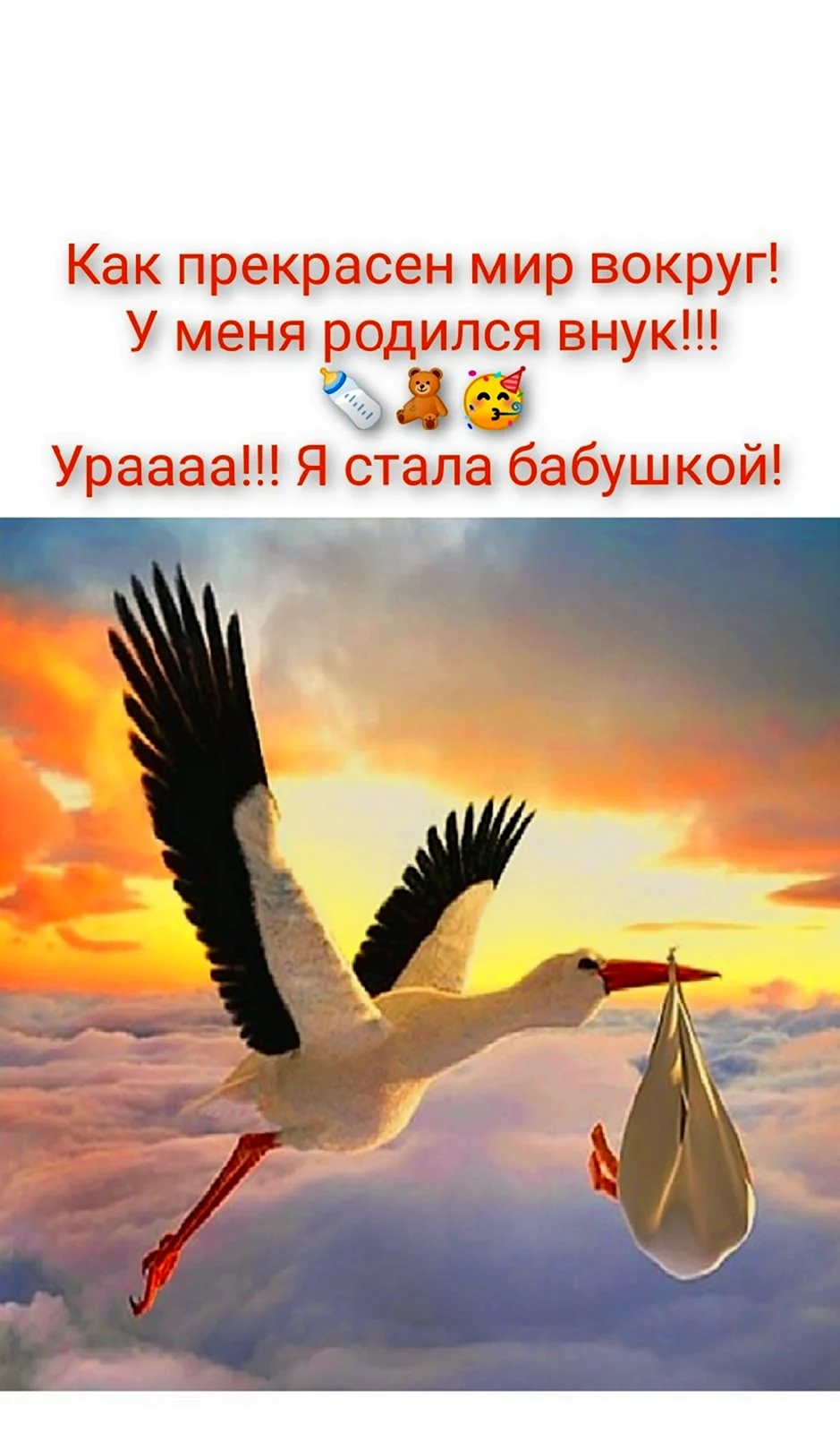 Аист с ребенком