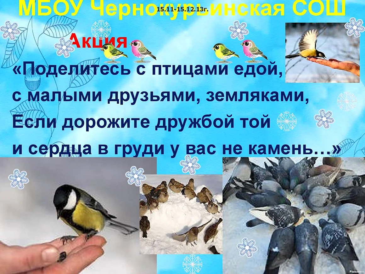 Акция зимующие птицы