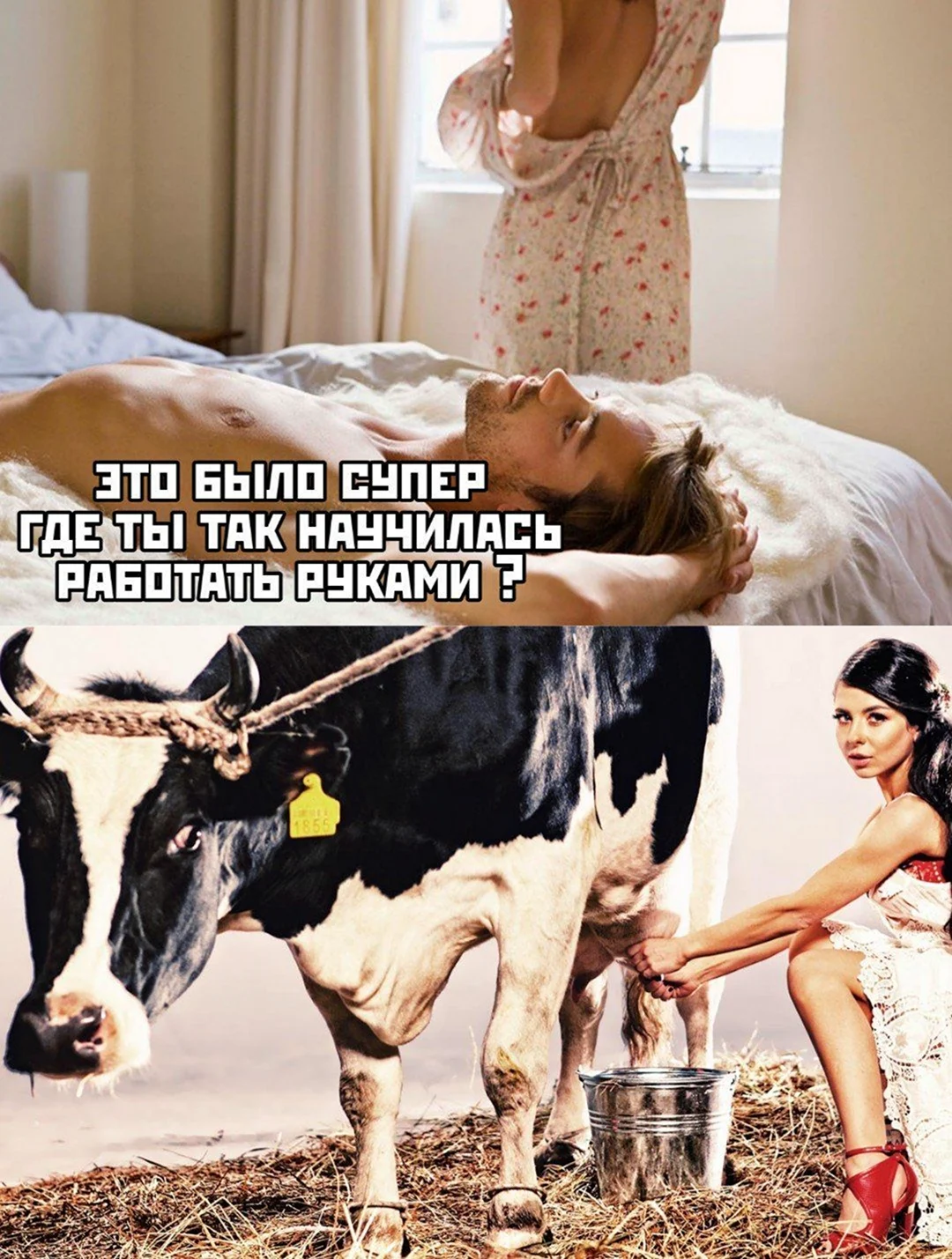 Актуальные приколы