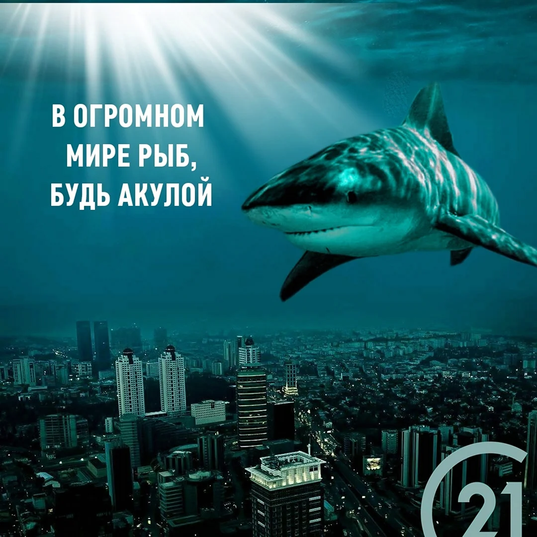 Акула бизнеса