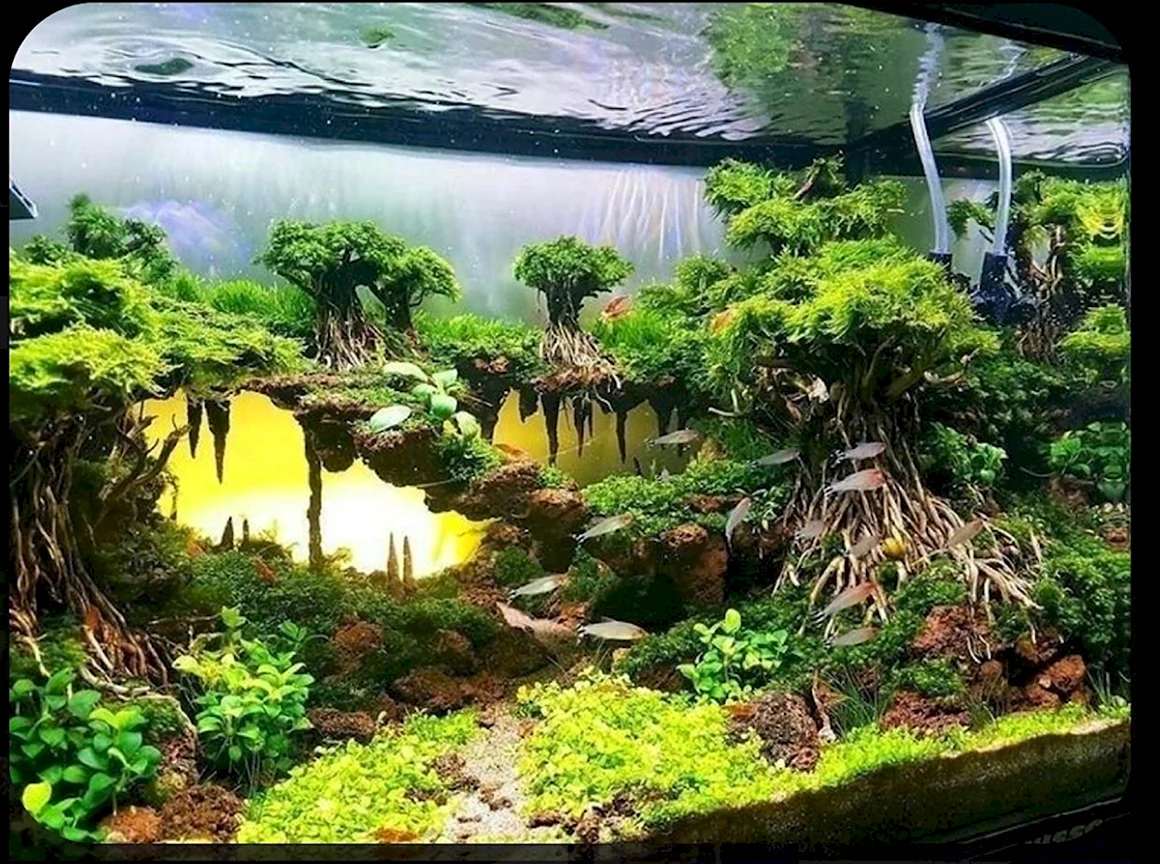 Акваскейп Логово химер