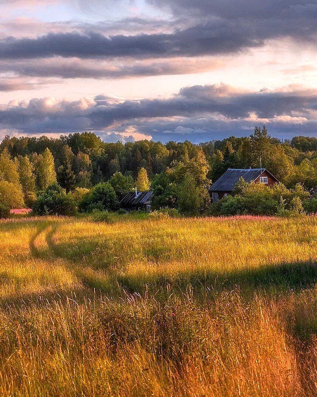 Александр Пашеничев фотограф