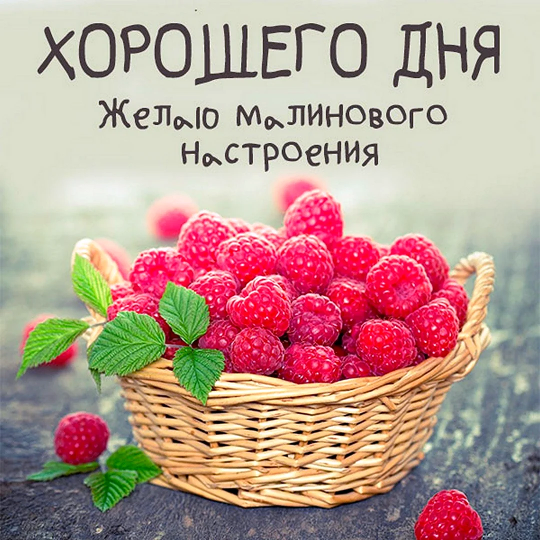 Алмазная мозаика малиновое лукошко