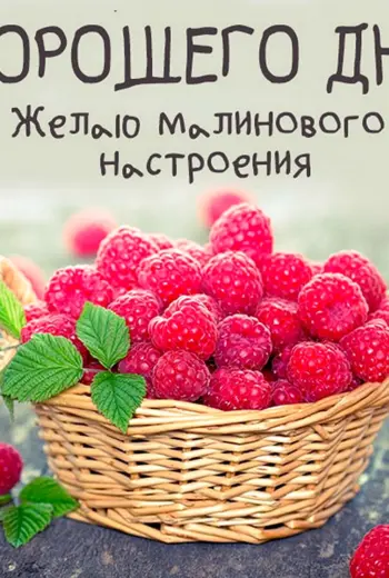 Алмазная мозаика малиновое лукошко