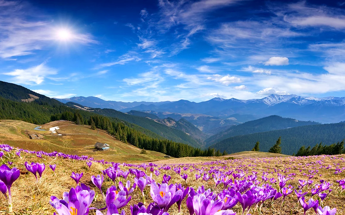 Альпийские Луга Швейцария
