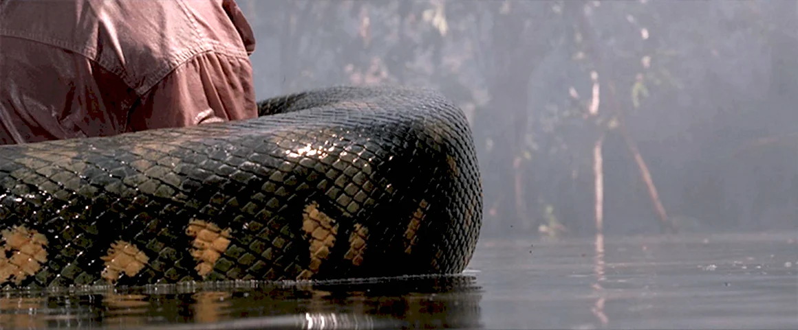 Anaconda 1997