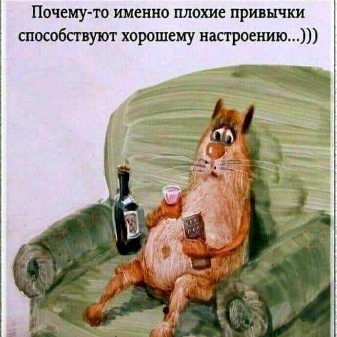 Анатолий Ярышкин и его душевные коты