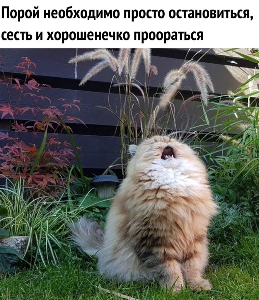 Андрей Пущев