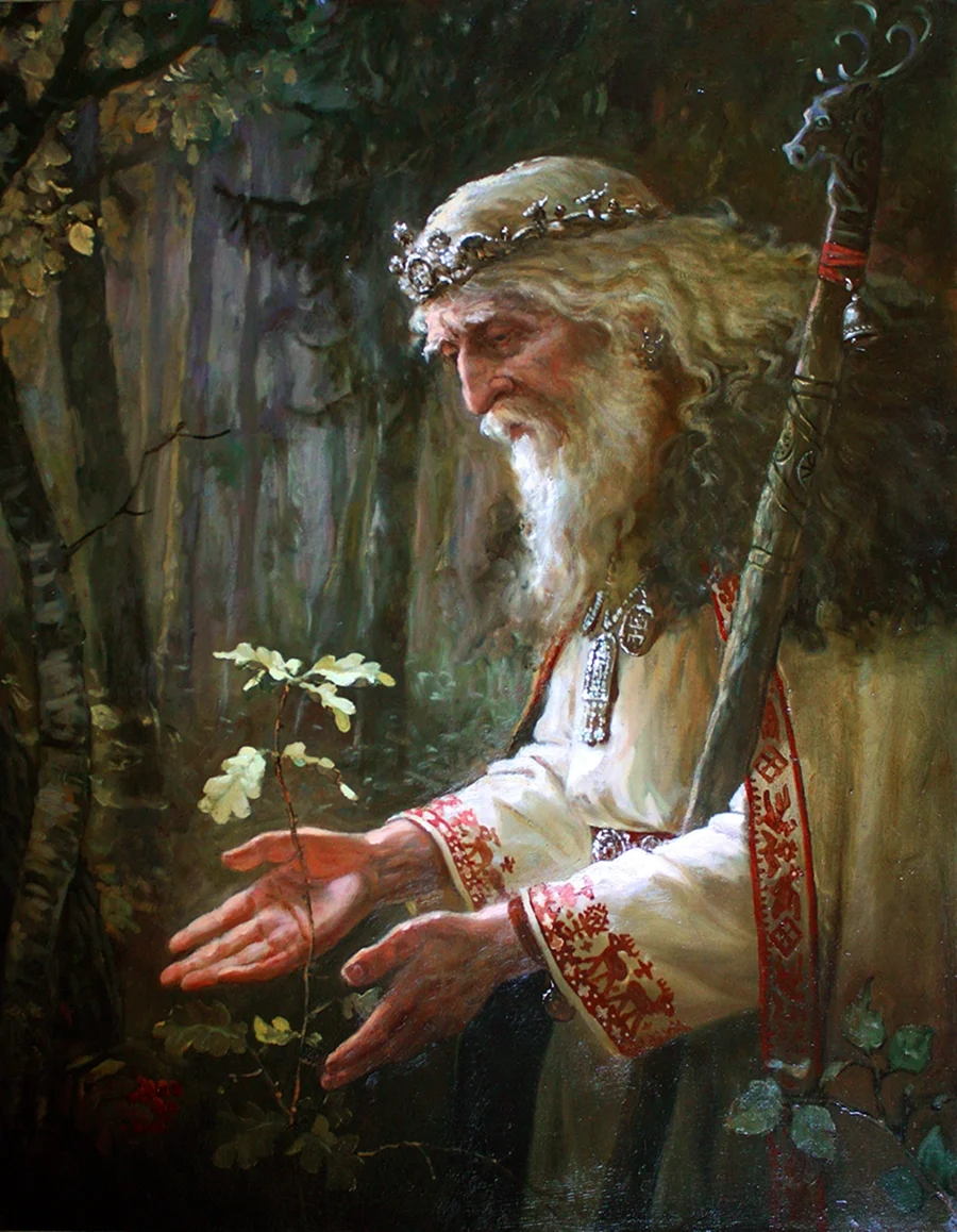Андрей Шишкин Святибор