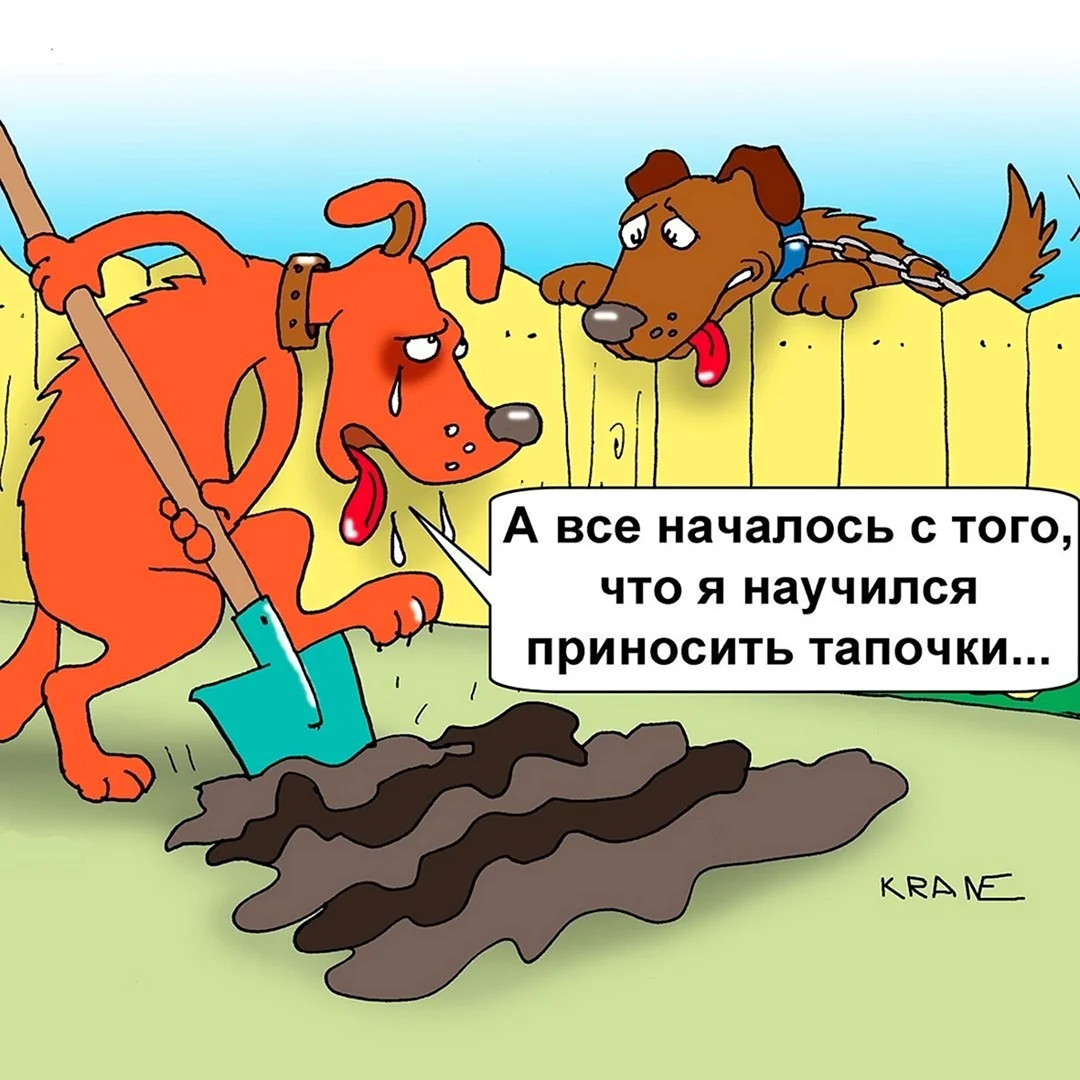 Анекдоты про собак